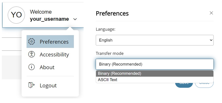 Users can go to prefences to change aspects of their files before uploading.